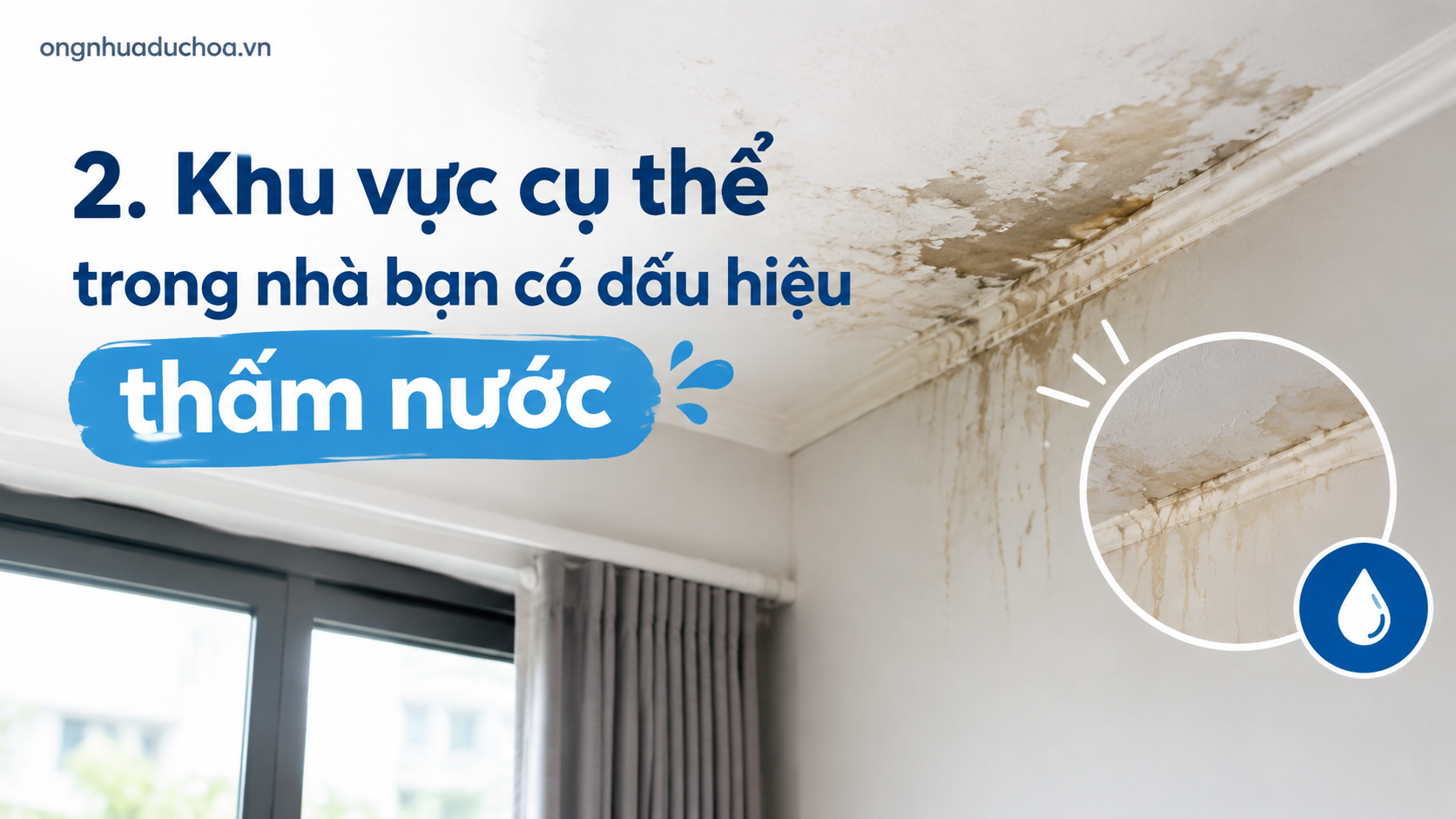 2. Khu vực cụ thể trong nhà bạn có dấu hiệu thấm nước
